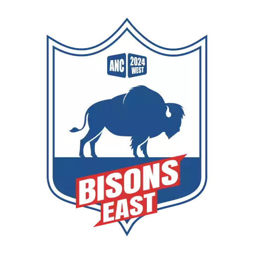 Bisons