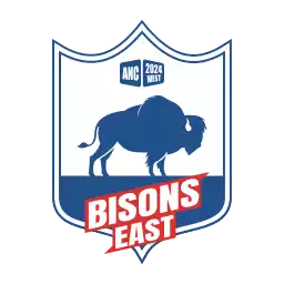 Bisons